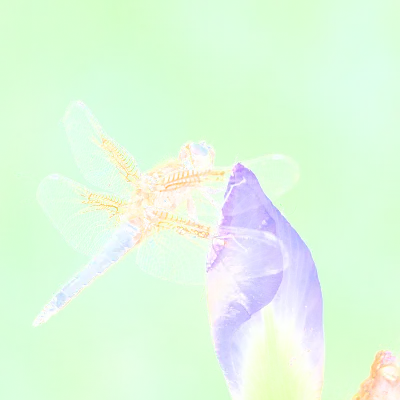 Avatar von Jan Kruse